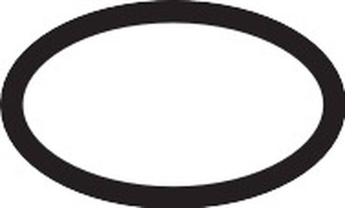 Hansgrohe O-ring 15x2 98163000