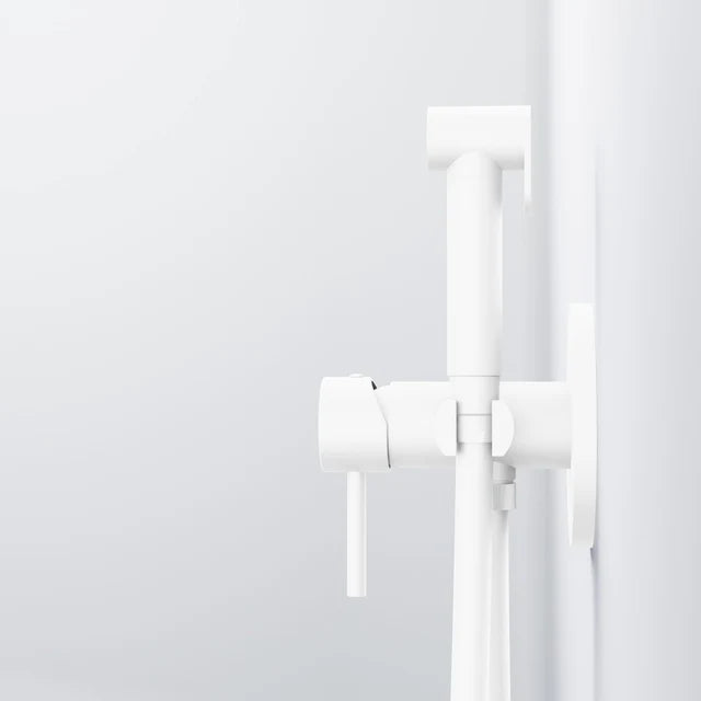 Steinberg 100 Σετ Μπιντέ Matt White