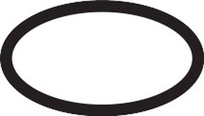 Hansgrohe O-ring 17x2 98199000