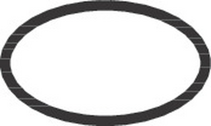 Hansgrohe O-Ring 14x2,5 98189000