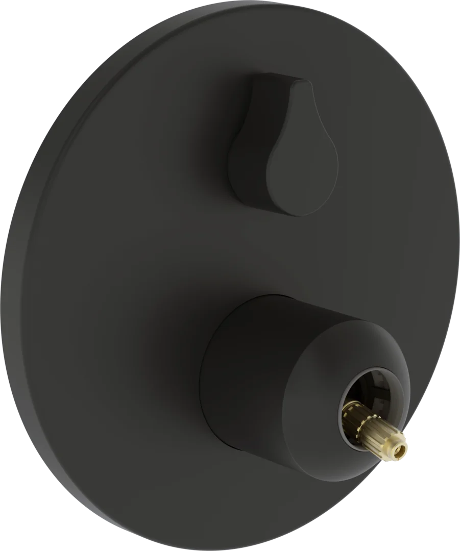 HANSA GENESIS Εντοιχισμένος μείκτης λουτρού 2 σημείων Matt black